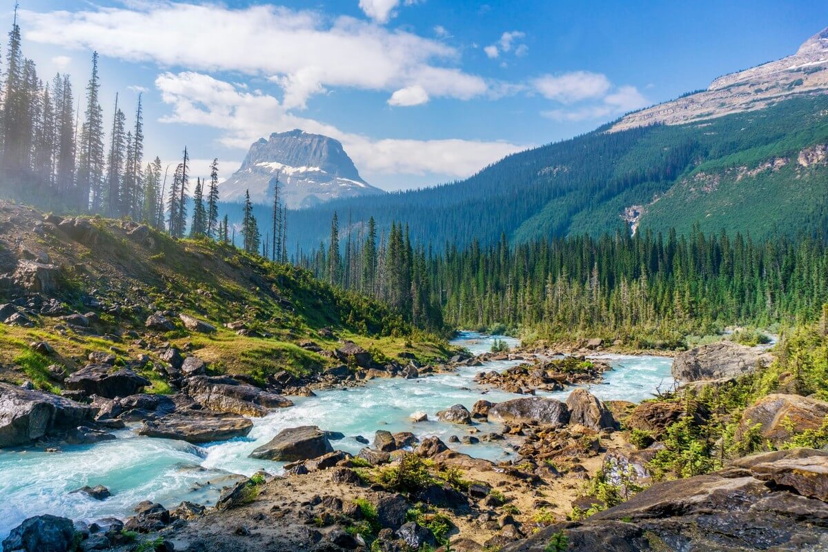 Read more about the article Three of the biggest threats to national parks explained